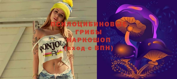 ГАЛЛЮЦИНОГЕННЫЕ ГРИБЫ Аркадак