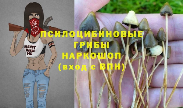 таблы Армянск