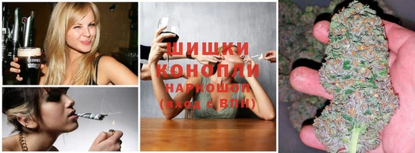 ГАЛЛЮЦИНОГЕННЫЕ ГРИБЫ Аркадак