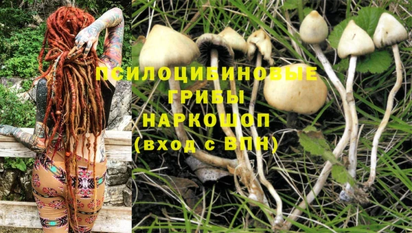 таблы Армянск